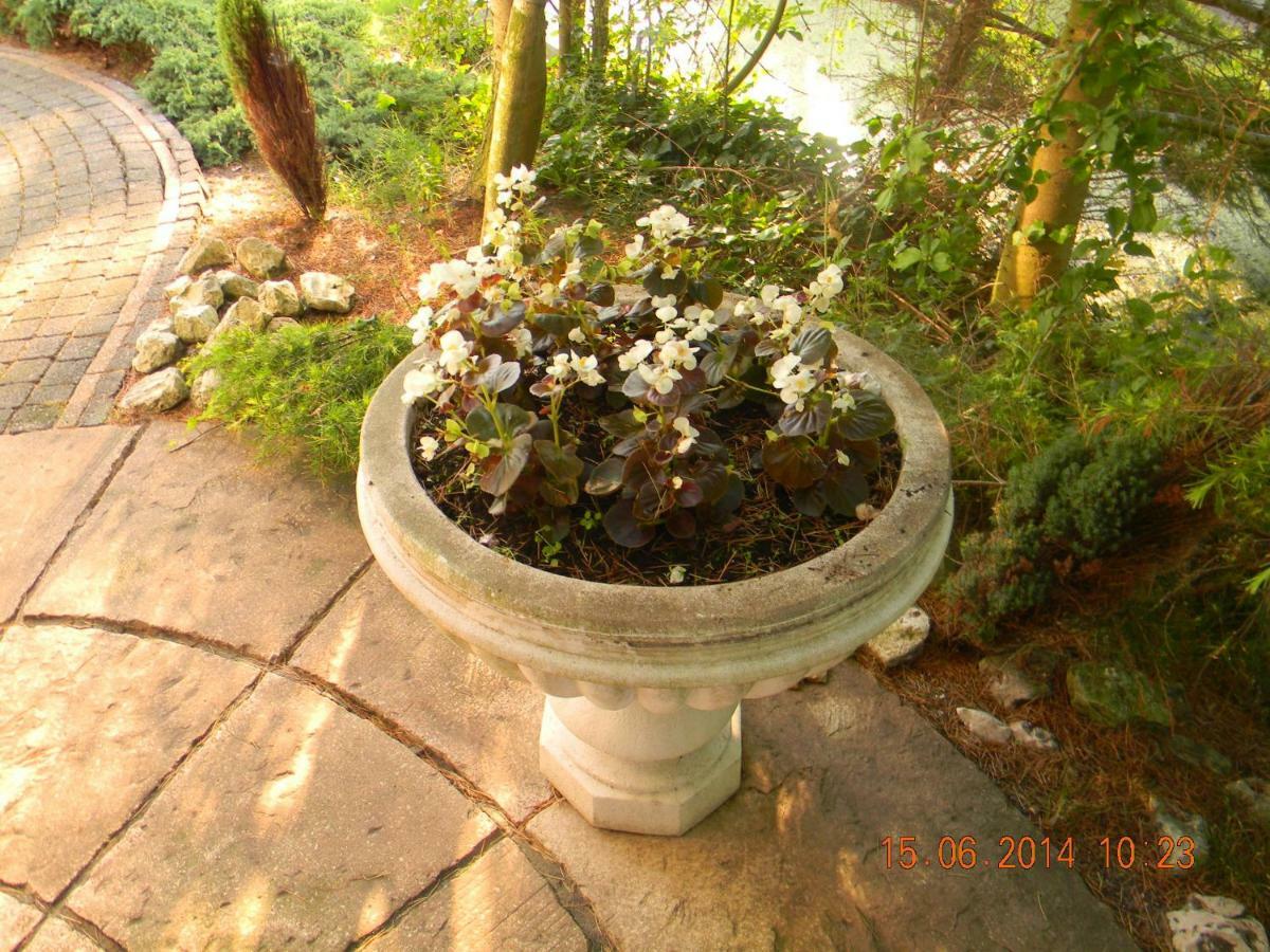 Njoy-Uithof Bed and Breakfast L'Aia Esterno foto